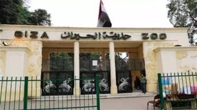 أسباب تأجيل افتتاح حديقة الحيوان بالجيزة - الخليج الان