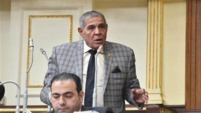 مطلب برلماني بشأن مواجهة أزمات التكدس المروري واحتلال الشوارع - الخليج الان