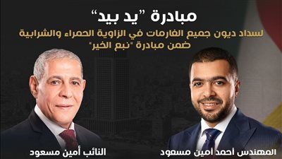 "يد بيد".. مبادرة لمستقبل وطن بالشرابية والزاوية الحمراء لسداد ديون الغارمات - الخليج الان
