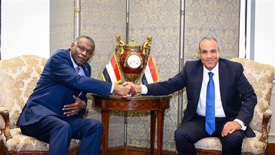 وزير الخارجية يناقش مع نظيره السوداني التسهيلات التي تقدمها مصر لتسهيل العودة الطوعية للمواطنين السودانيين - الخليج الان