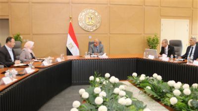 وزير الكهرباء: ضمان استقرار الشبكة واستمرارية التيار الكهربائي ومواجهة التعديات - الخليج الان