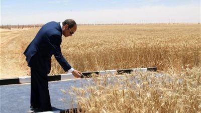 أرقام قياسية في عيد الفلاح .. 7 ملايين طن صادرات زراعية مصرية إلى 160 دولة - الخليج الان
