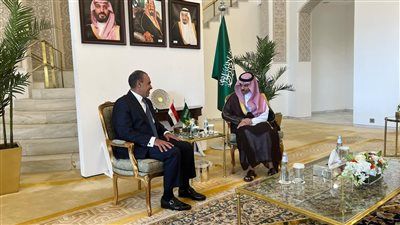وزيرا خارجية مصر والسعودية يؤكدان على رفضهما للجرائم التى ترتكبها إسرائيل ضد الفلسطينيين والتجويع الممنهج - الخليج الان