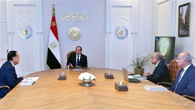 السيسي يتابع جهود تطوير الشبكة القومية للكهرباء ويؤكد على تعظيم الاستفادة من الطاقة المتجددة - الخليج الان