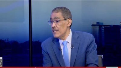ضياء رشوان: كلمة الرئيس السيسي بالقمة العربية الإسلامية تؤكد الصراحة والوضوح المصري والانحياز للقضية الفلسطينية - الخليج الان