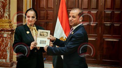 النائبة رانيا عز الدين تتسلم كارنية عضوية مجلس الشيوخ 2025 - الخليج الان