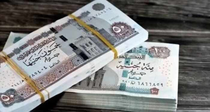 خطوات الاستعلام عن معاش تكافل وكرامة أكتوبر 2025.. بالرقم القومي