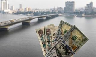 "انفجار للورقة الخضراء " سعر الدولار في السوق السوداء اليوم الاثنين 11 نوفمبر 2024 وفي البنوك المصرية