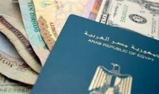 عودة المصريين من الخارج .....هل بدأ العائدون يعيدون رسم خريطة الاقتصاد المحلي المصرى - الخليج الان