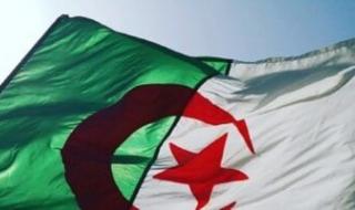 “جدد الآن” خطوات تجديد منحة البطالة الجزائرية 2025 عبر موقع الوكالة الوطنية للتشغيل anem.dz