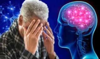 علماء يكتشفون بروتينا جديدا يحمى الدماغ من مرض الزهايمر
