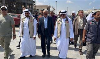 وفد إماراتي رفيع المستوى يستقبل سفينة مساعدات من أبو ظبي في ميناء العريش - الخليج الان