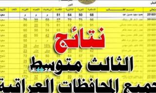 كشوفات pdf لإعلان نتائج الثالث متوسط الدور الثاني 2025.. خطوات بسيطة للاستعلام السريع