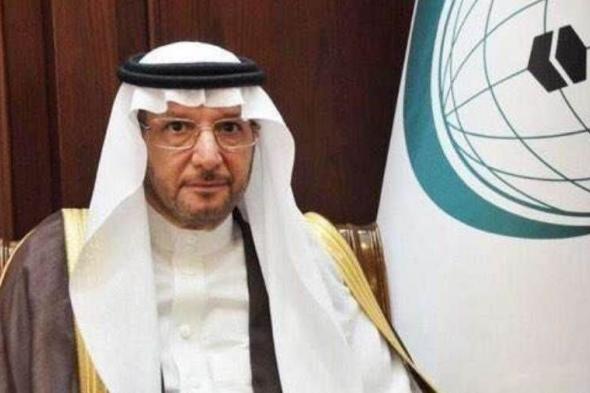 "التعاون الإسلامي" تندد بمحاولة الحوثي استهداف المدنيين في خميس مشيط بطائرة مفخخة