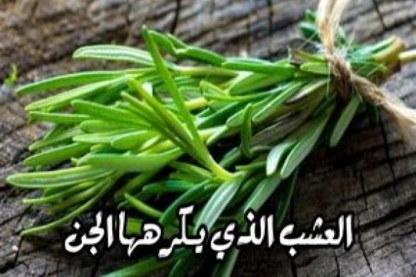 يخاف منه الجن. العشبة المعجزة تعالج الحسد والسحر والمس العاشق !