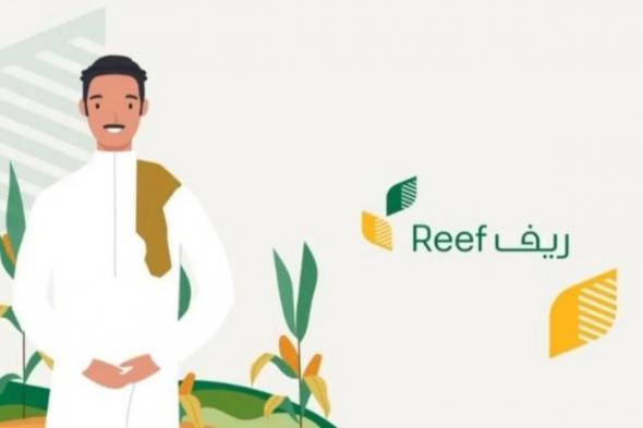 برابط مباشـر reef.gov.sa الاستعلام عن دعم ريف لربات البيوت - موقع الخليج الان