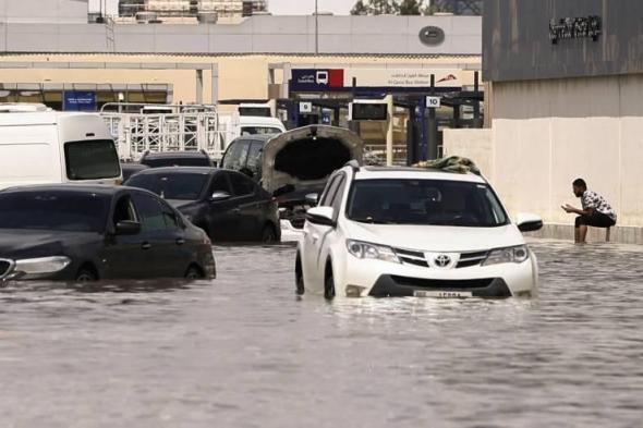 «التأمين الشامل».. طوق نجاة لأصحاب المركبات المتضررة بالأمطار