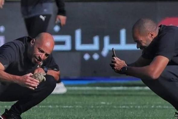 «سلحفاة في الملعب».. لقطة طريفة من الدوري المصري