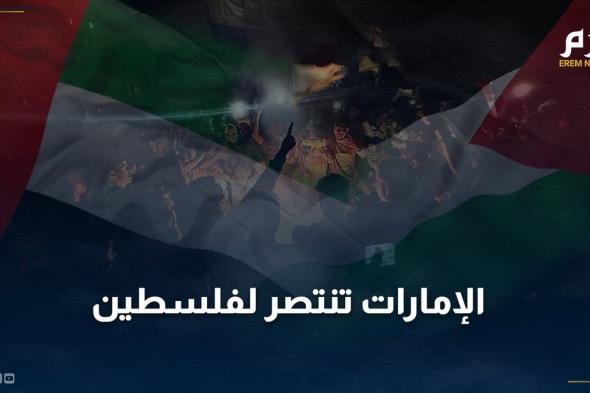 الإمارات تنتصر لفلسطين بقرار تاريخي في الأمم المتحدة