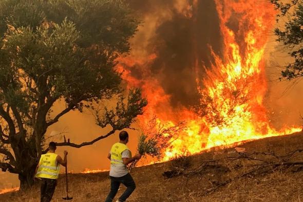 المغرب يستعين بالذكاء الاصطناعي لمواجهة حرائق الغابات