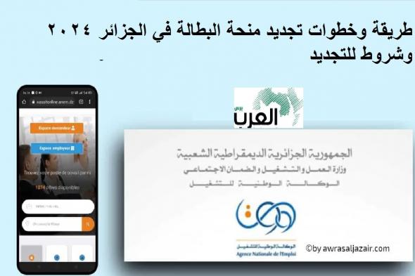 طريقة وخطوات تجديد منحة البطالة في الجزائر 2024 وشروط للتجديد