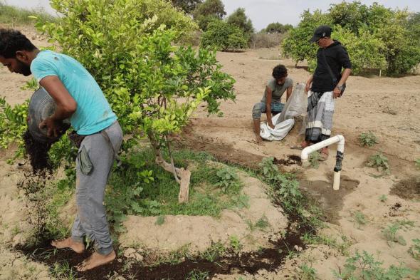 ميليشيا الحوثي توقف إجراءاتها بشأن "المبيدات المسرطنة" وتعتقل ناشطين