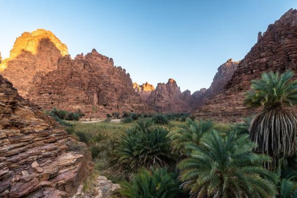 السعودية.. اكتشاف نقش أثري فريد يرتبط بلغة قوم ثمود (صور)