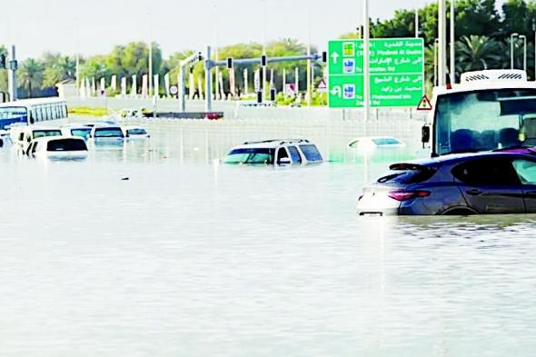 شركات التأمين.. أرباح «التعطل عن العمل» تذوب في أمطار «الهدير»