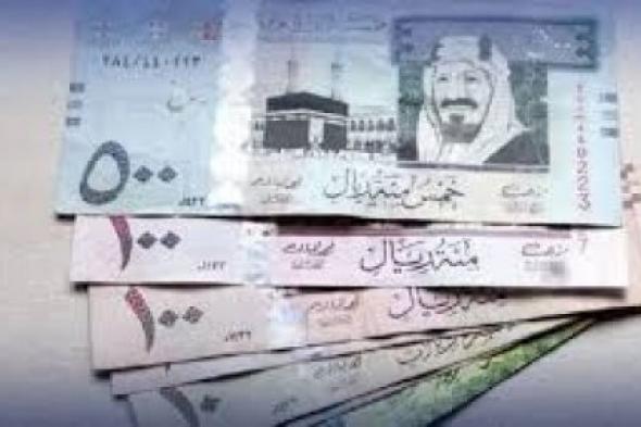 صعود مفاجئ.. سعر الريال السعودي مقابل الجنيه المصري والعملات الأخرى اليوم الإثنين 4-11