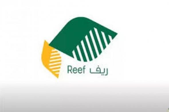 رابط الاستعلام عن دعم ريف برقم الهوية عبر reef.gov.sa وشروط الحصول علي الدعم