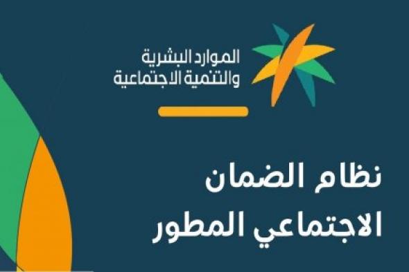 كيف تؤثر الأصول على أهلية الضمان المطور؟ الموارد البشرية تُجيب بالتفصيل