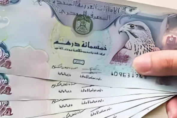 تحويل ورقة ال 10 درهم إماراتي كم جنيه مصري سوق سوداء؟ .. سعر الدرهم الاماراتى اليوم مقابل الجنية المصري فى البنوك