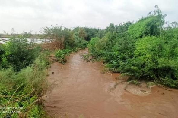 بالصور.. اشجار السيسبان والرواسب الطينية تغلقان بوابات قنوات الري بلحج