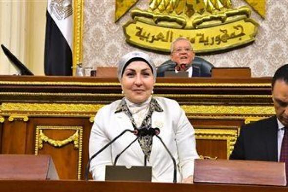 النائبة هالة أبو السعد رئيسًا للاتحاد المصري لتمويل المشروعات المتوسطة والصغيرة ومتناهية الصغر - الخليج الان